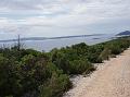 Slika_12