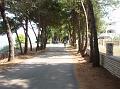 Slika_04