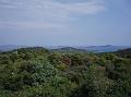 Slika_06