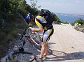 Slika_11