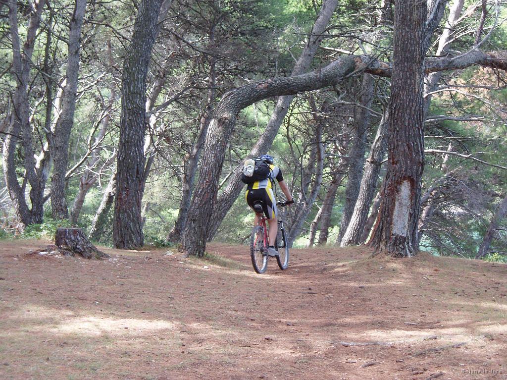 Slika_09.JPG - Potem mehka potka med borovci.