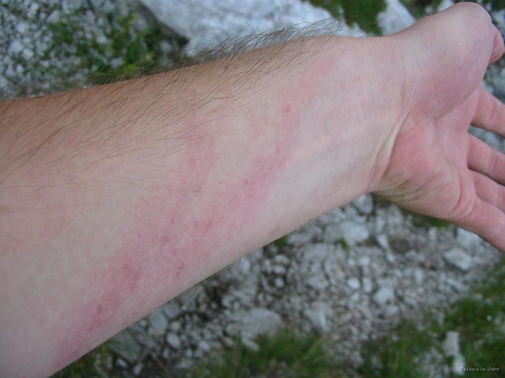 Slika_60.jpg - Morda dolgi rokavi in rokavice ne bi bile slabe.