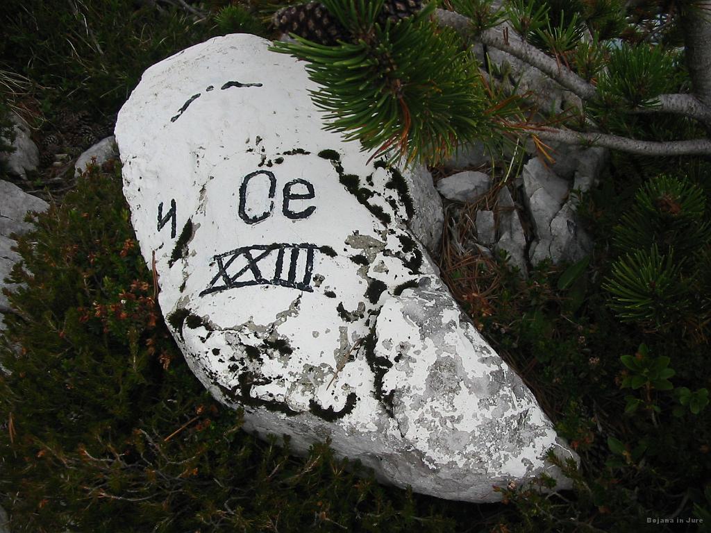 Slika_61.jpg - Se osebne sva imela s sabo :)