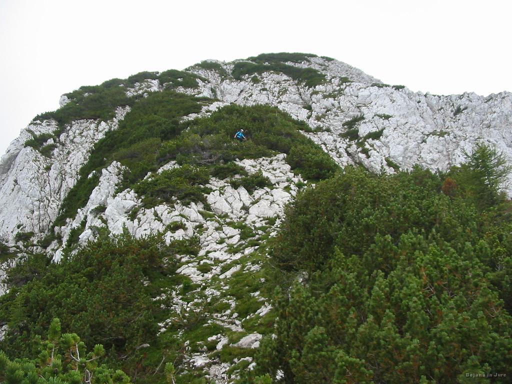 Slika_62.jpg - Tu dol sva pa začela čutiti stegna...pa še vsaj enih 700 m spusta.