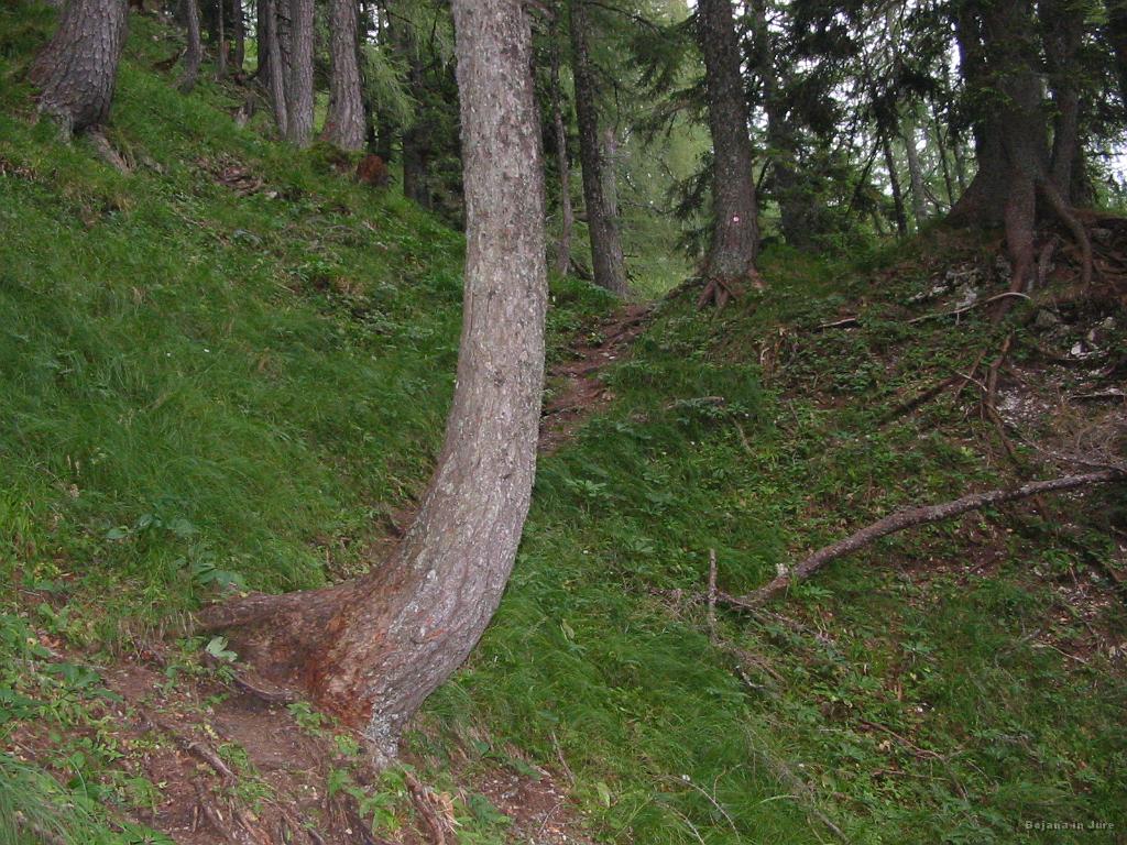 Slika_66.jpg - Počasi se umirja...fajn :)