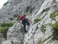 Slika_12