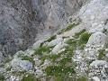 Slika_19