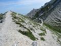 Slika_35