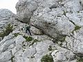 Slika_53