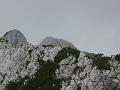 Slika_59