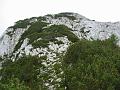 Slika_62