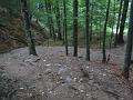 Slika_70