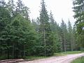 Slika_71