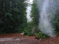 Slika_73