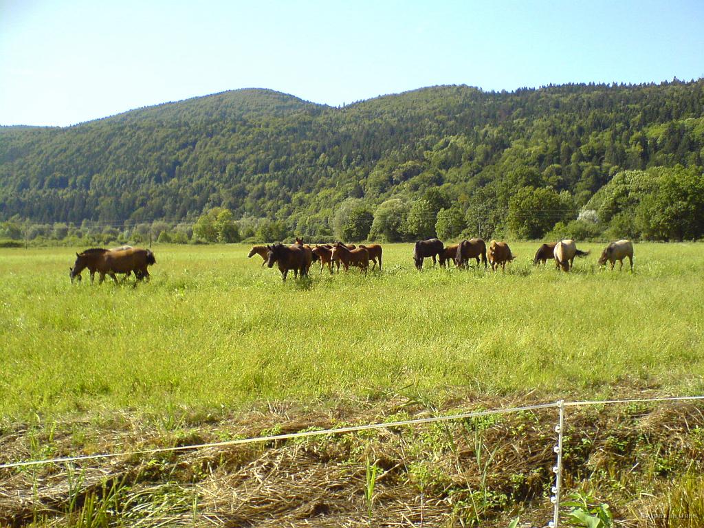 Slika_07.JPG