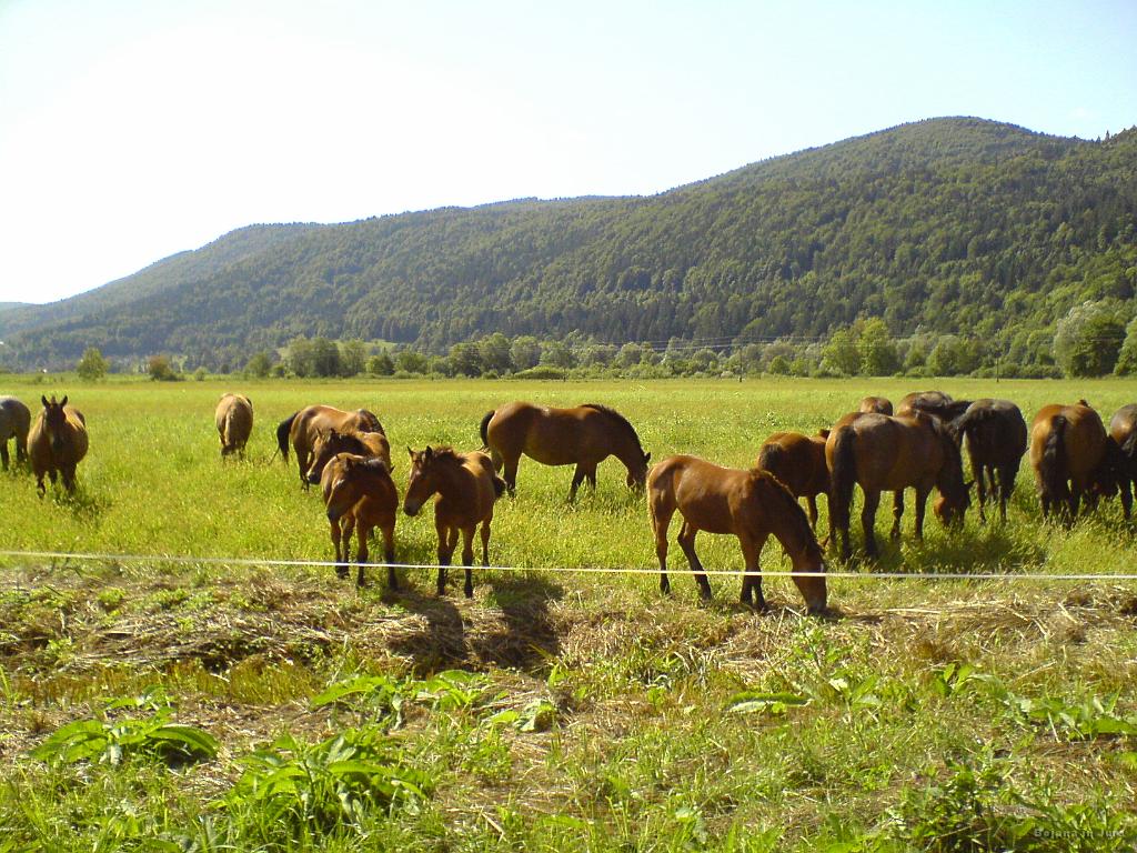 Slika_09.JPG