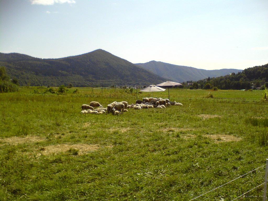 Slika_11.JPG