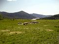 Slika_11