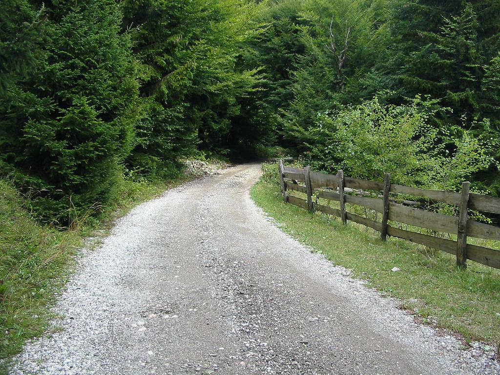 Slika_07.jpg - Lepa makadamska cesta, na določenih odsekih. Nekje pa zelo razrita in peščena.