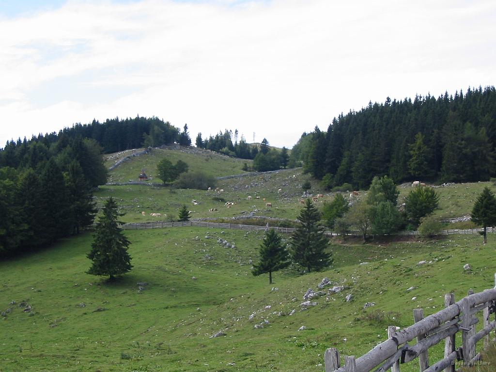 Slika_10.jpg - Lepa planina, ni kaj!