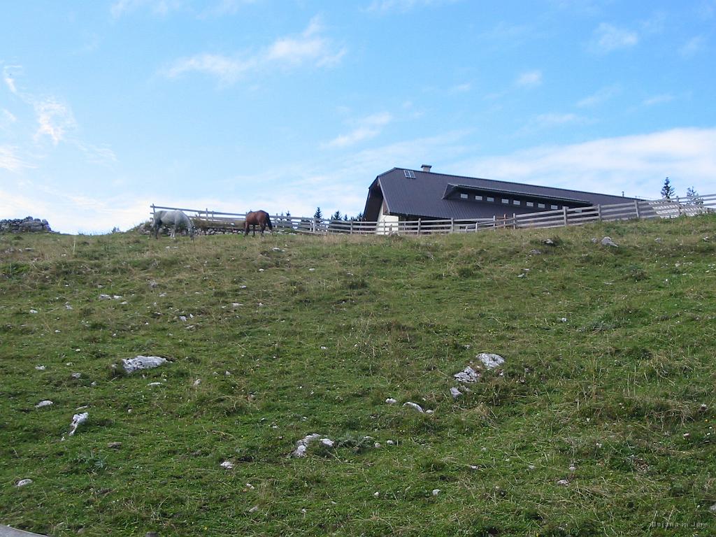 Slika_11.jpg - Biba planina (1330 m).