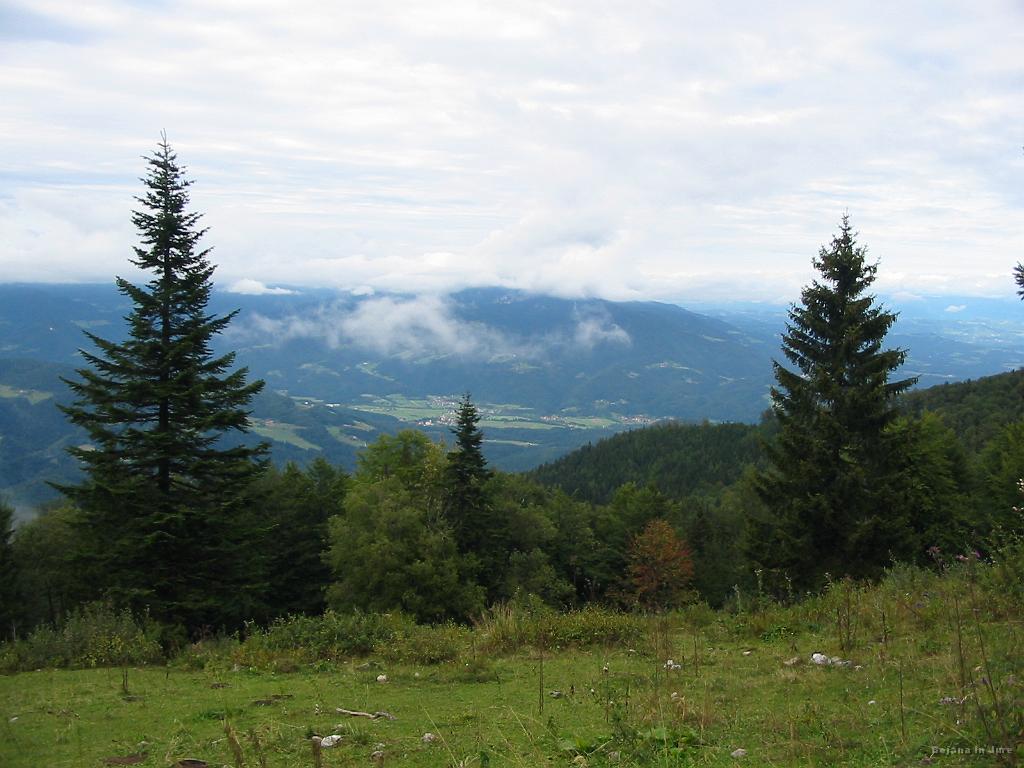 Slika_20.jpg - Pogled na Štajersko stran. Še vedno ni ne duha ne sluha o razjasnitvah.