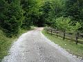 Slika_07