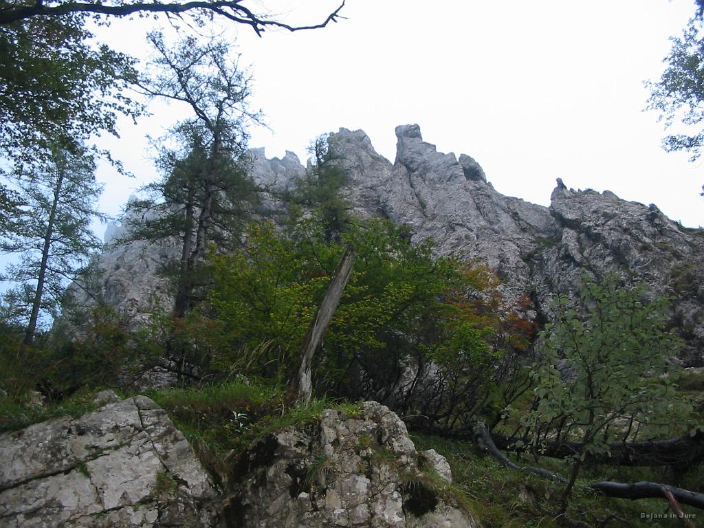 Slika_13.jpg - "Škrbine" ... griči rabijo ortodonta.