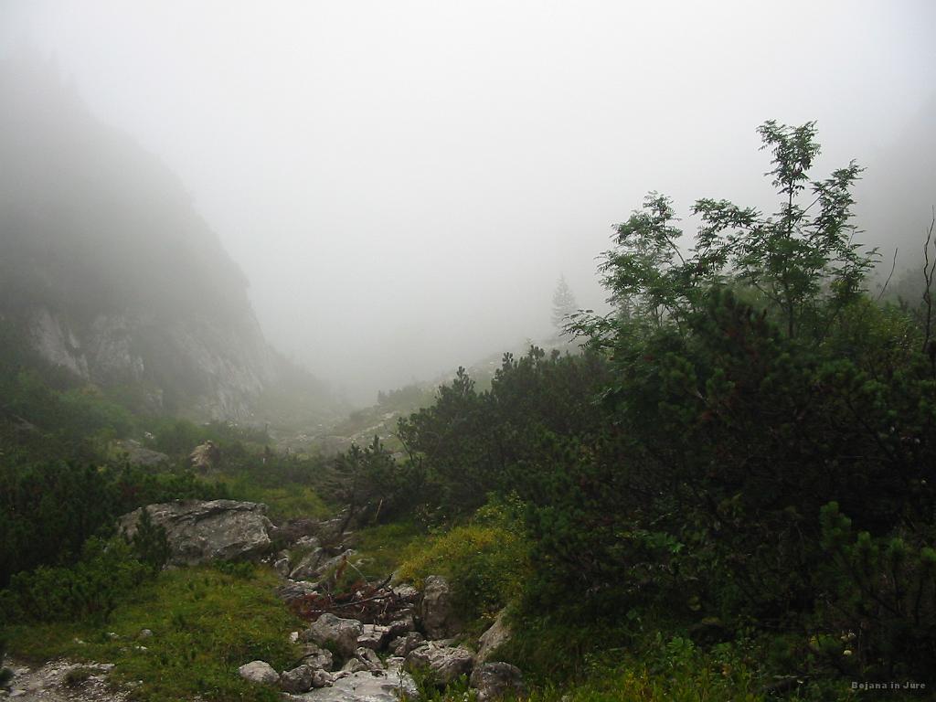 Slika_16.jpg - No, sonce, ki je prej napovedovalo fantastičen dan se je povsem skrilo. Slika je s področja imenovano Pasja glava.