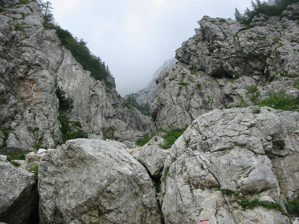 Slika_57.jpg - S slikanja prejšnje slike sva prišla z leve ob ožjem delu korita na tej sliki. Ja, spust je bil zelo strm.