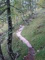 Slika_14