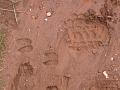Slika_43