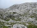 Slika_47
