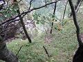 Slika_54