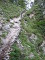 Slika_55