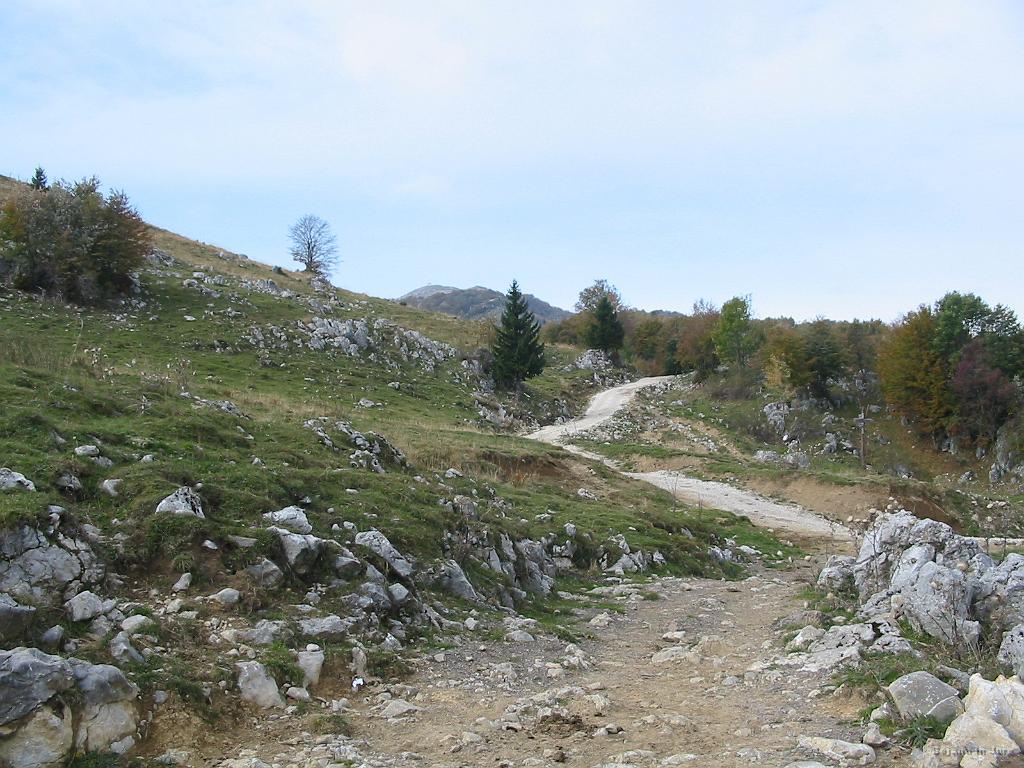 Slika_09.jpg - Prihod na ravnico s pašniki.