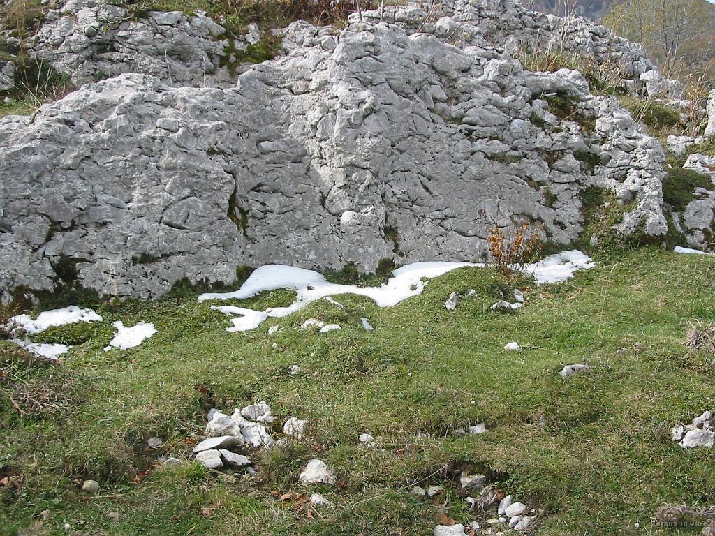 Slika_14.jpg - Prvi letošnji sezonski sneg. Nekam zgoden :)