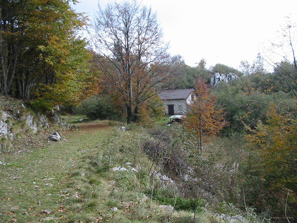 Slika_23.jpg - To pa je stara italjanska cesta na katero sva prišla po "nesreči". Pri temu vikendu gremo ostro desno in okrog grička, nato pa pozor na odcep na levo (piše Livek).