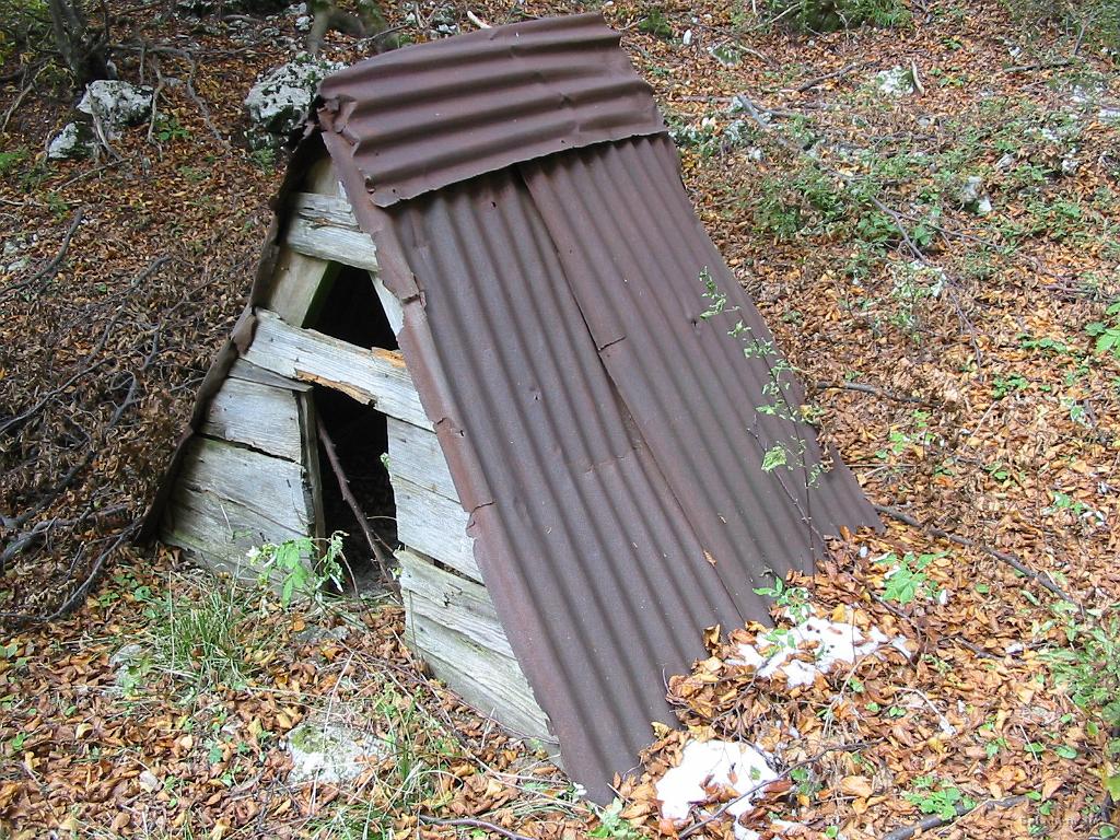 Slika_24.jpg - Pesjak, srnjak?