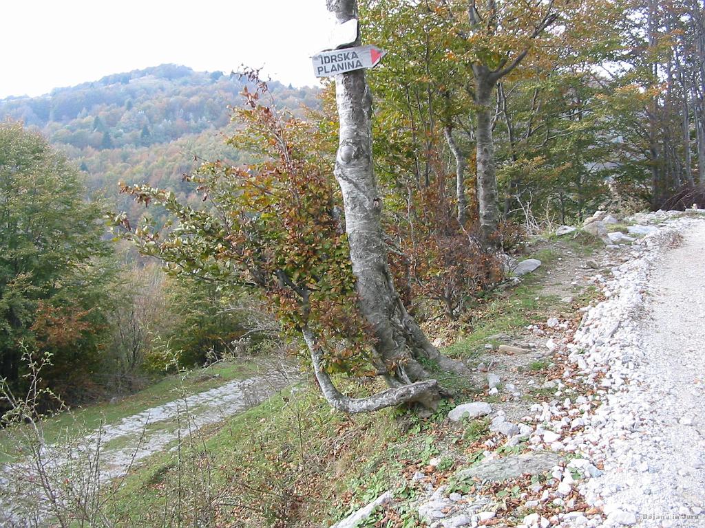 Slika_26.jpg - Odcep...sicer sva pa prišla po zgornji, lahko pa pridemo po spodnji. Od tu naprej priporočava sekanje ceste, ker se drugače vije kot kača.