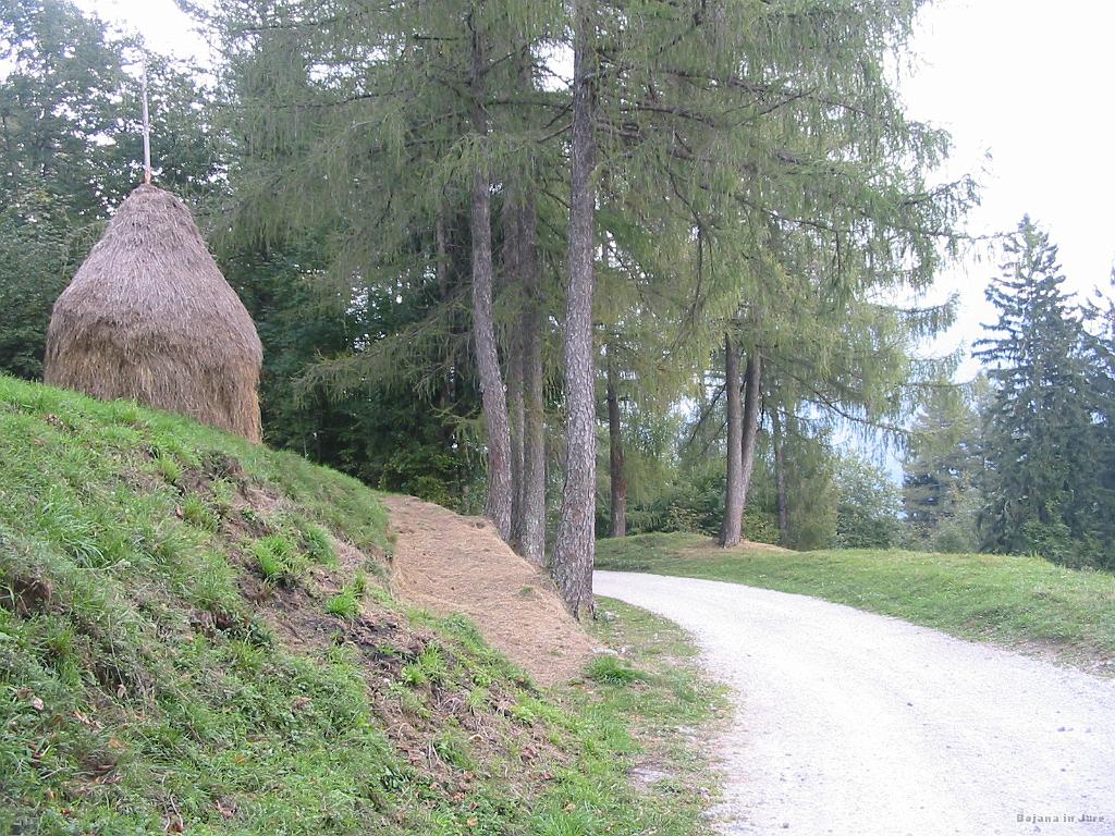 Slika_30.jpg - Ko bi ta fotoaparat delal lepše slike, kajti ta niti približno ne pokaže lepega trenutka.