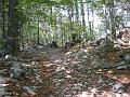 Slika_05