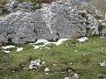 Slika_14