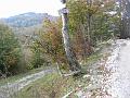 Slika_26