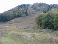 Slika_36