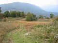 Slika_38