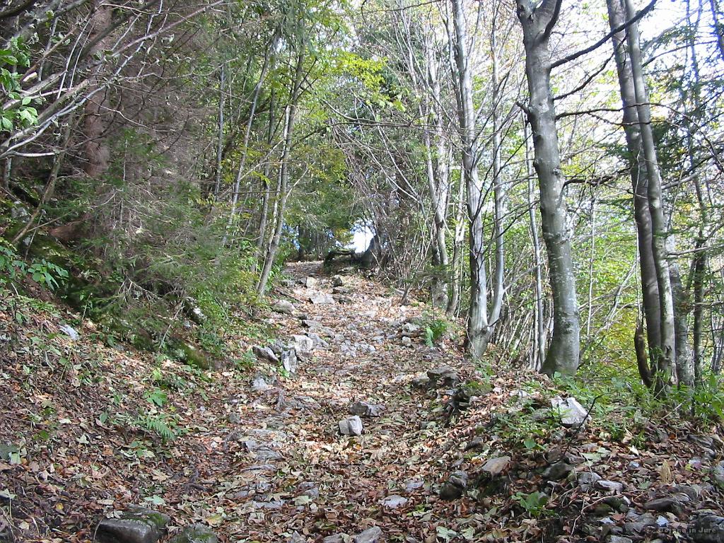 Slika_07.jpg - Začetni klanec in kamenje se sploh ne more primerjati z najinim "jamranjem" z začetka poti na Matajur prejšnji teden. Za začetek in neogretost skoraj malce preveč. Tu sva še sledila markacijam...