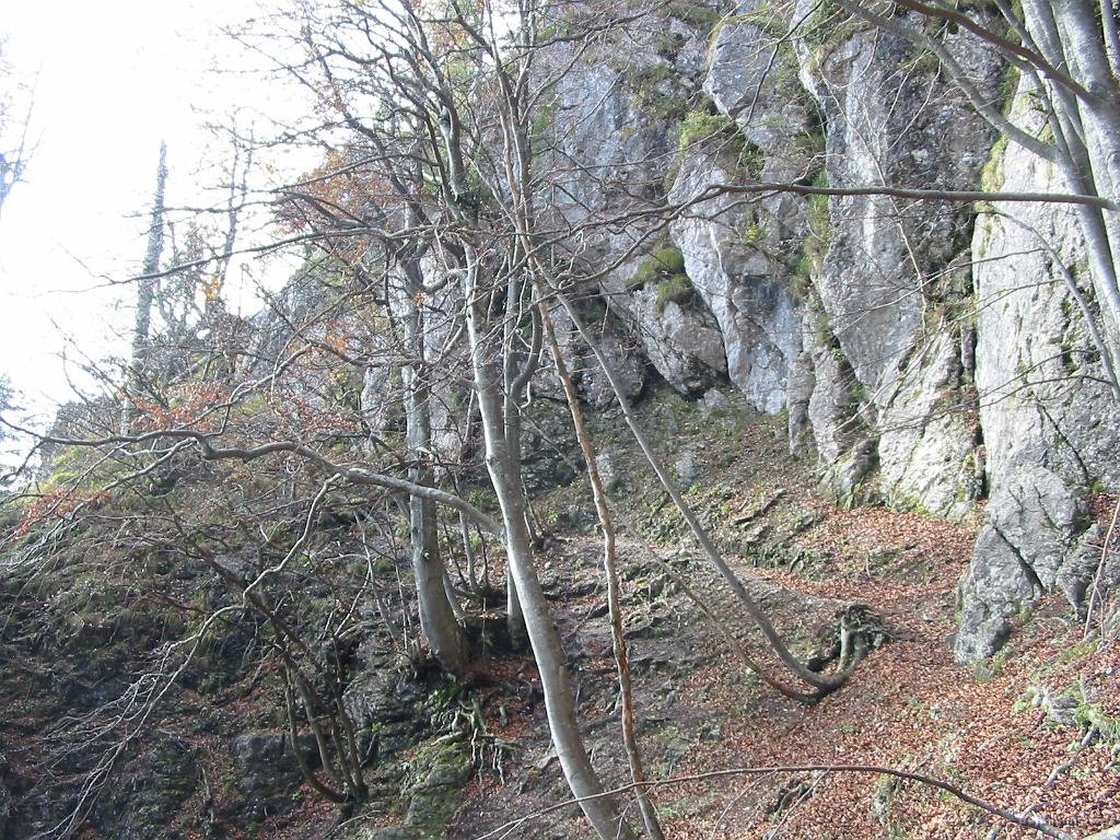 Slika_09.jpg - Sva pa na določenem delu prišla do tega dela pogorja z zelo lepo izraženo potjo (ni markirana), ki pa bolj kot ne pelje do razgledne točke...