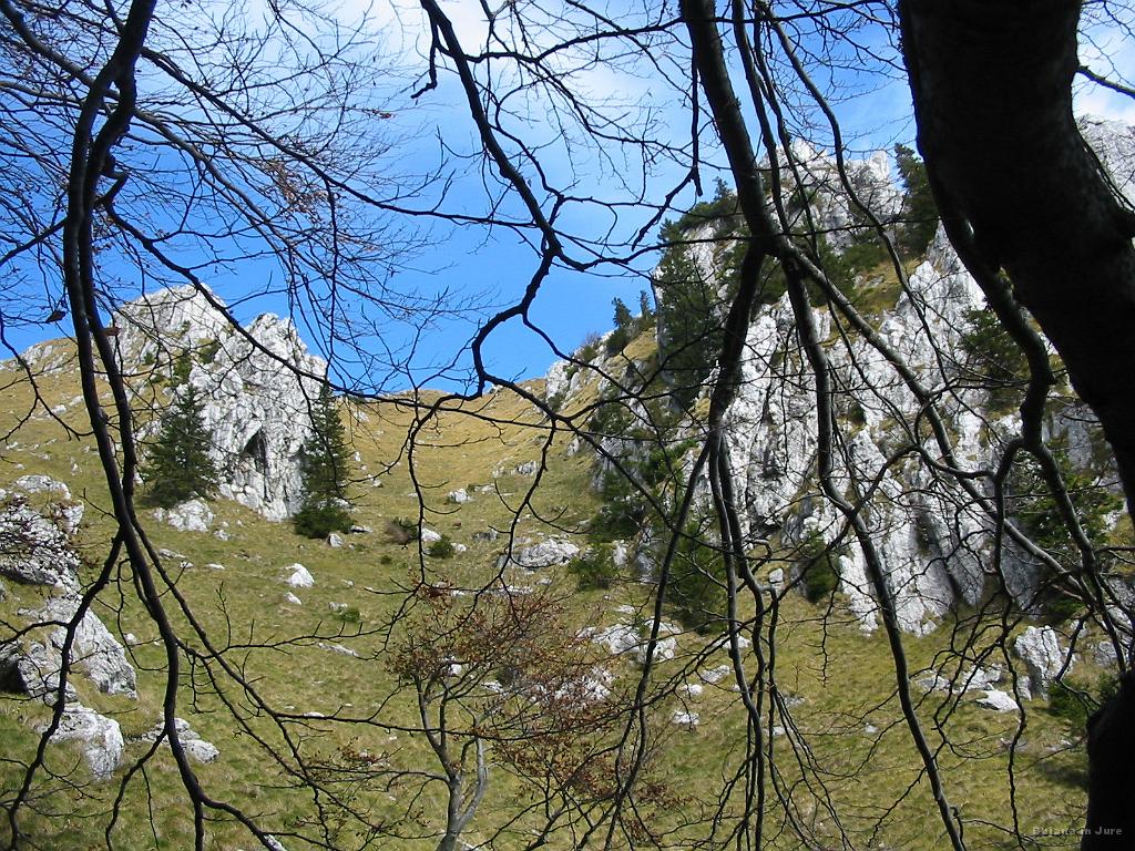 Slika_11.jpg - Po krajšem nadaljevanju po dokaj namišljeni stezi sva videla, da je bila razgledna točka končni cilj nemarkirane poti. Zato sva pogledala navzgor in si rekla, da je itak tam na vrhu kucla konec vzpona. Pa sva šla...