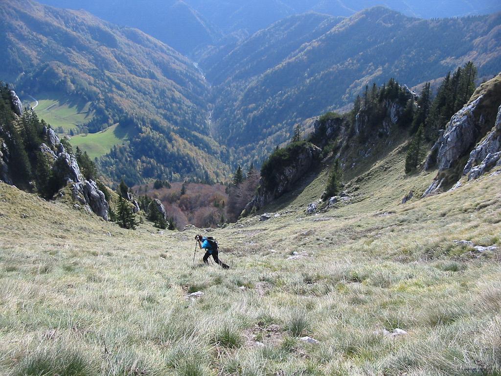 Slika_15.jpg - Malce cik-cak.... V ozadju je lepo vidna struga potoka Plenšak. Ta smer (po levem grebenu) je bil planiran prvoten spust proti Jesenovcu in Zalemu Logu.
